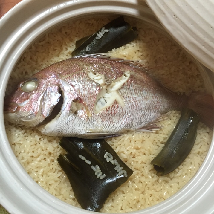 鯛めし レシピ 土鍋 土鍋 鯛めし レシピ